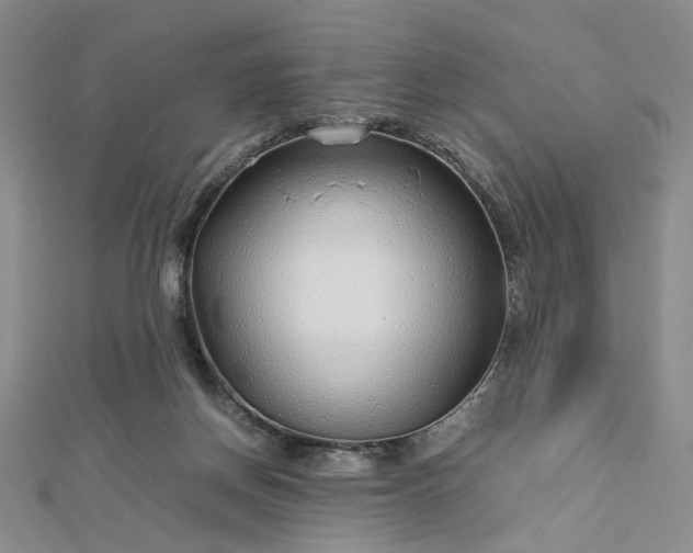 X0000112750166200909031534