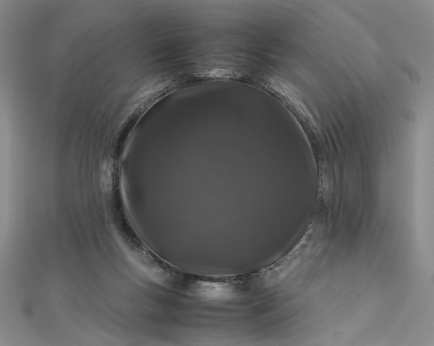 X0000112750167200909031534