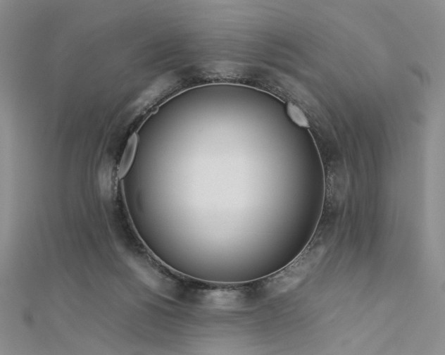 X0000112750168200909031534