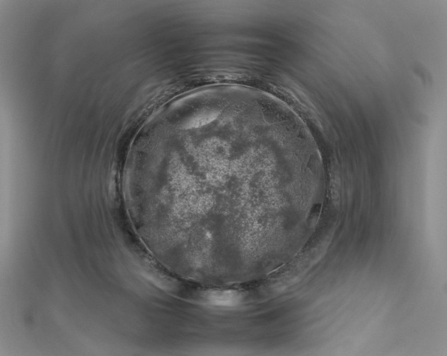 X0000112750169200909031534