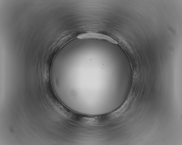 X0000112750170200909031534