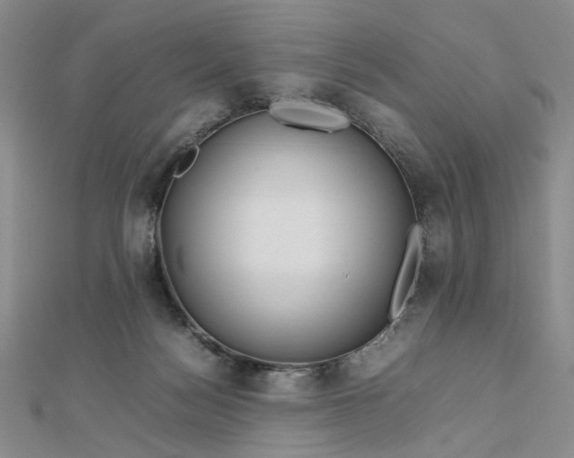 X0000112750172200909031534