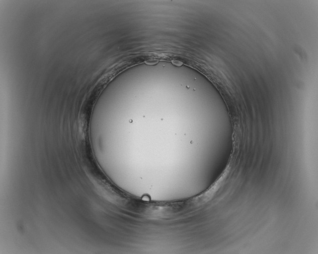 X0000112750174200909031534