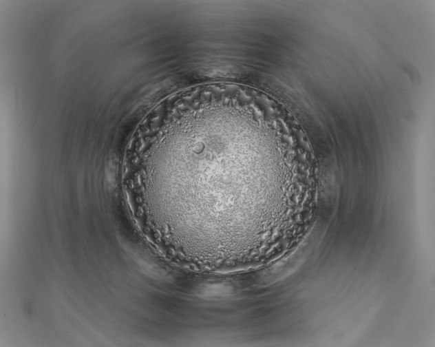 X0000112750175200909031534