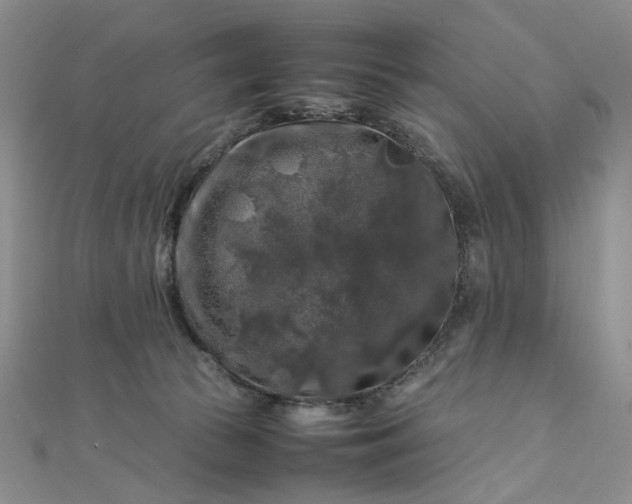 X0000112750177200909031534