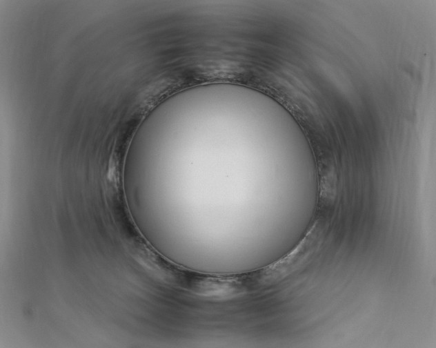 X0000112750179200909031534