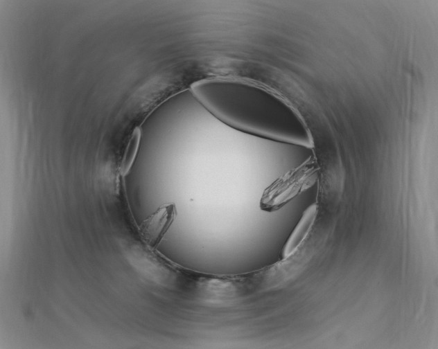 X0000112750180200909031534