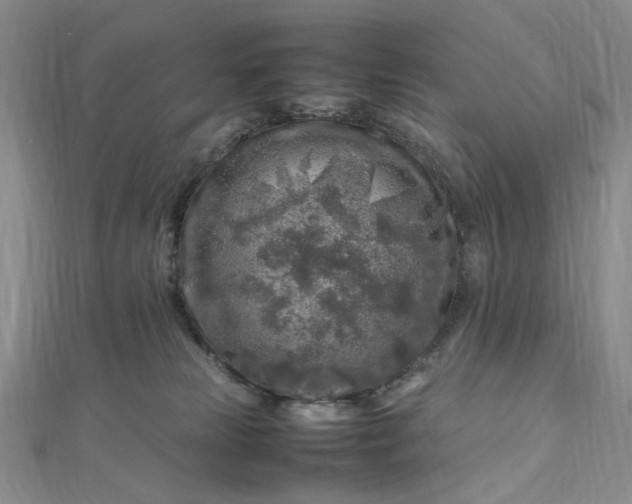 X0000112750181200909031534