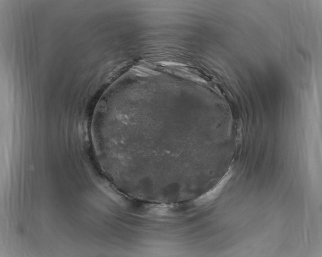 X0000112750182200909031534