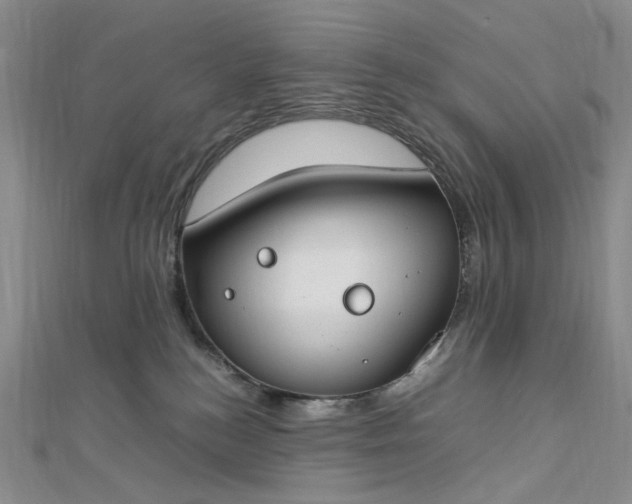 X0000112750184200909031534