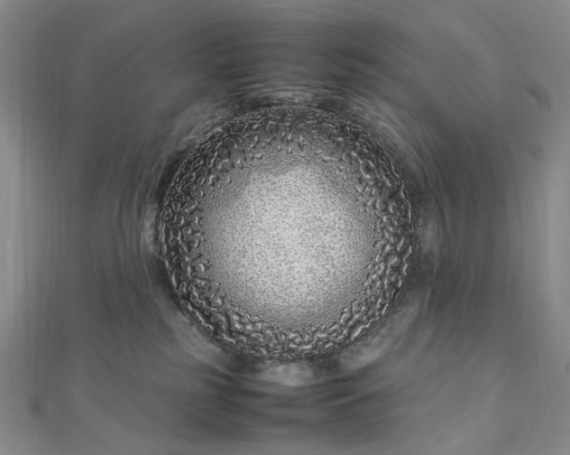 X0000112750185200909031534