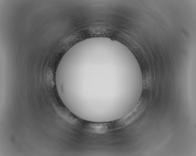 X0000112750187200909031534