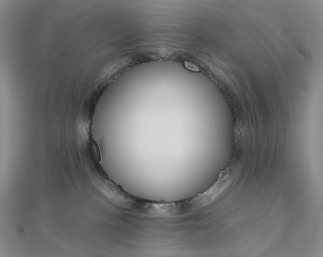 X0000112750188200909031534