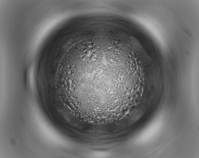 X0000112750189200909031535