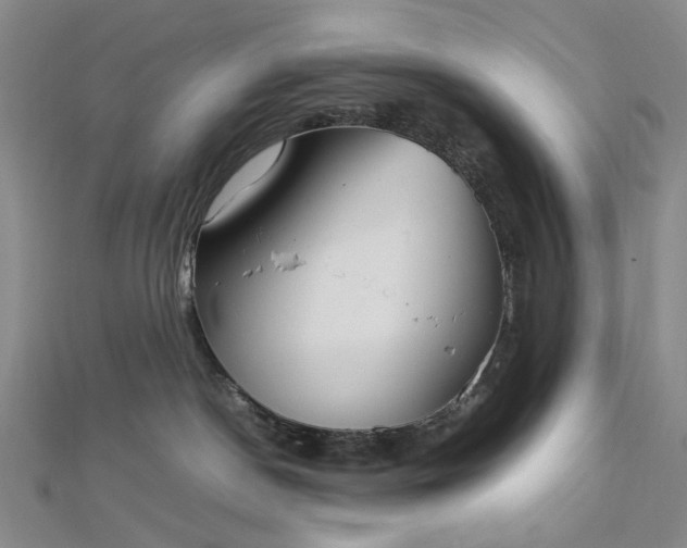 X0000112750190200909031535