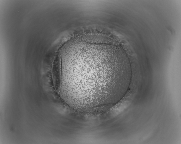 X0000112750192200909031535