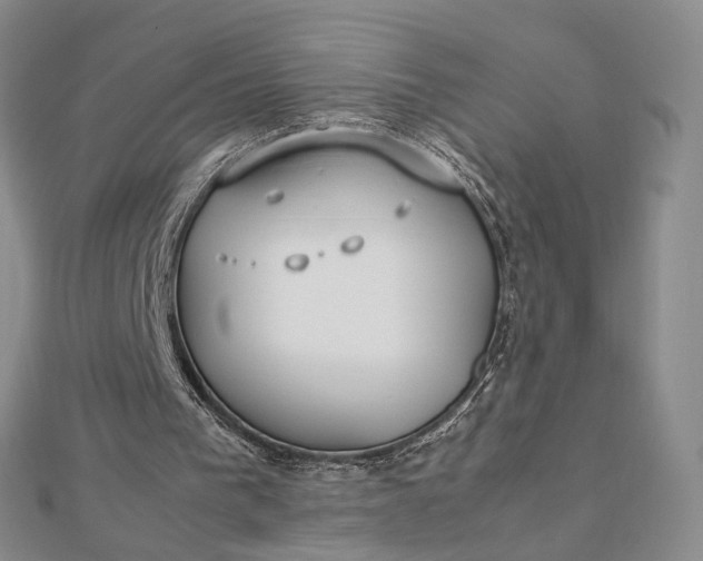 X0000112750193200909031534