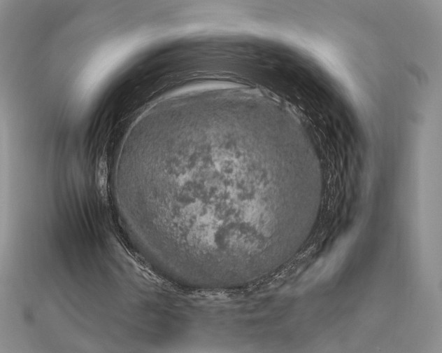 X0000112750194200909031534