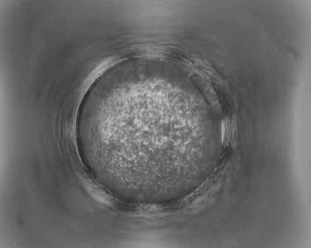 X0000112750195200909031534