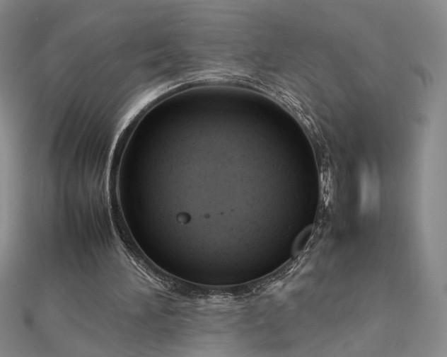 X0000112750196200909031534