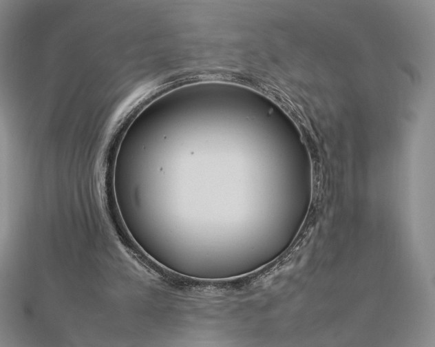 X0000112750197200909031534