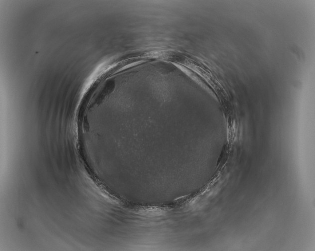 X0000112750198200909031534