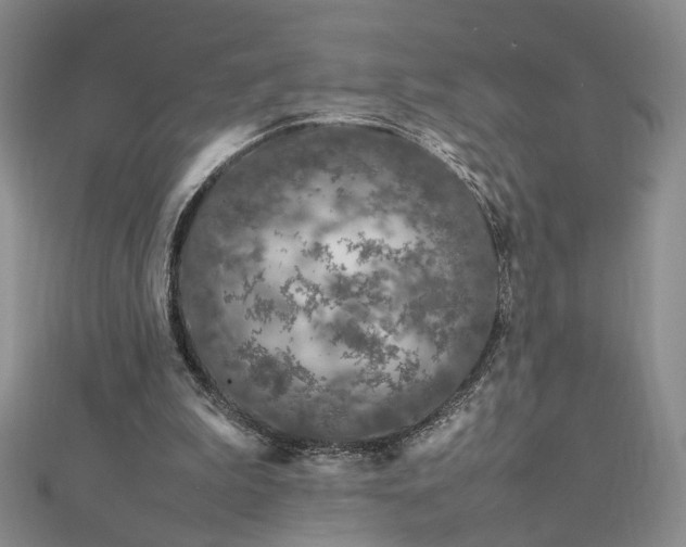 X0000112750199200909031534