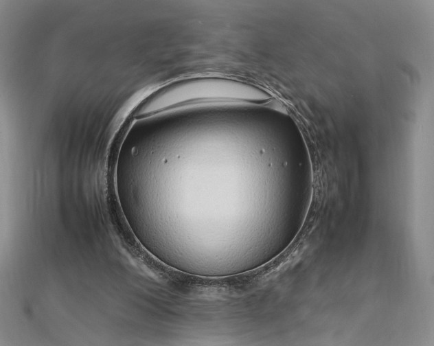 X0000112750200200909031534