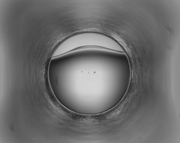 X0000112750201200909031534