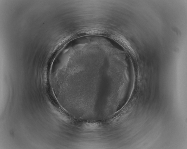 X0000112750202200909031534