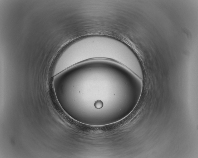 X0000112750203200909031534