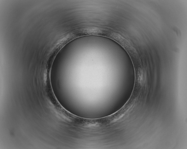 X0000112750206200909031534