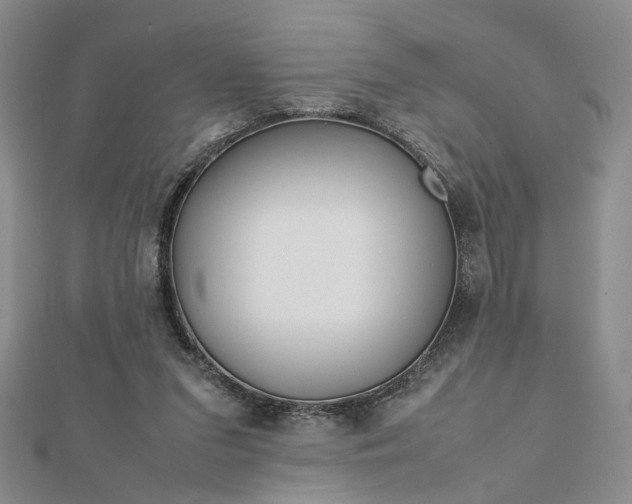 X0000112750207200909031534