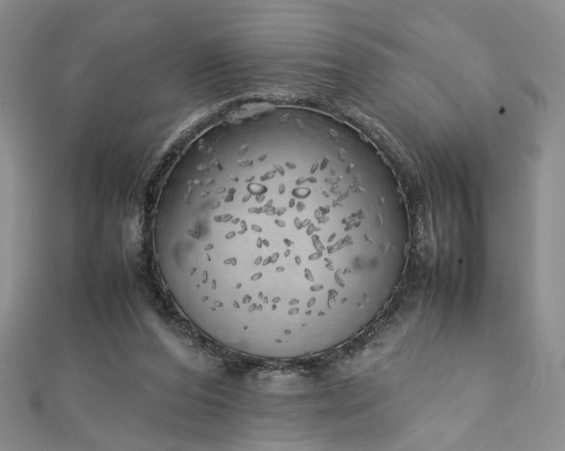 X0000112750208200909031534