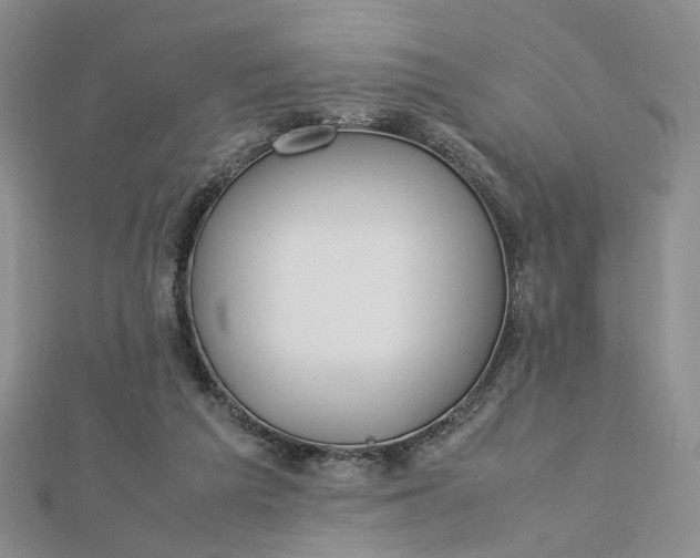 X0000112750209200909031534