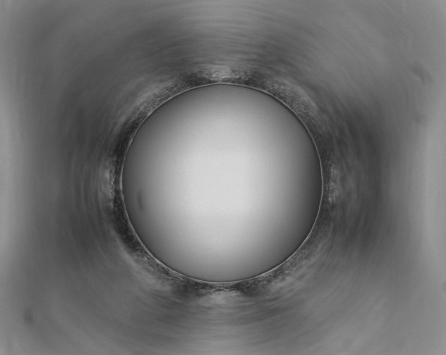 X0000112750210200909031534