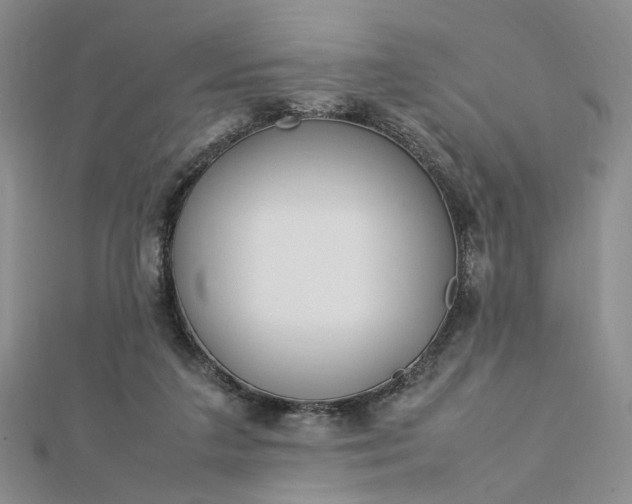 X0000112750211200909031534