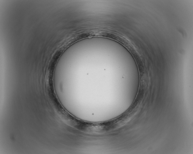 X0000112750217200909031534