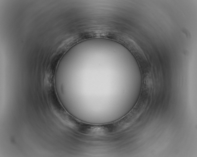 X0000112750218200909031534