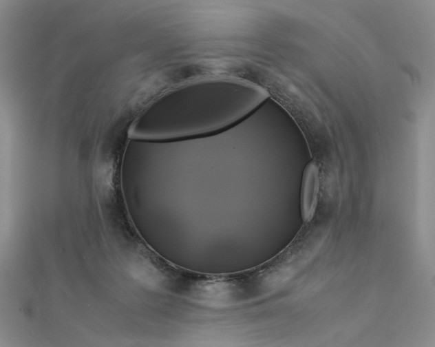 X0000112750219200909031534