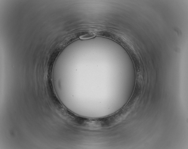 X0000112750221200909031534