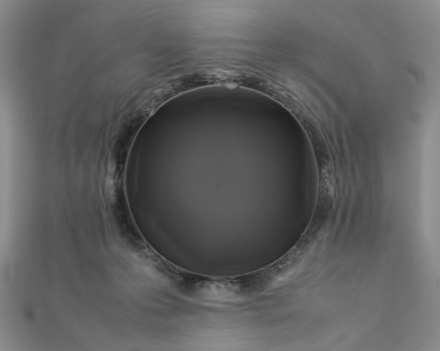 X0000112750223200909031533