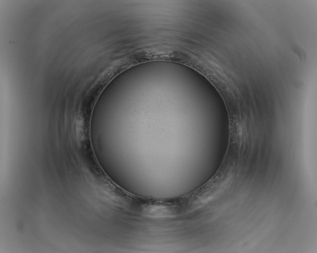 X0000112750224200909031533