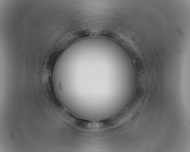 X0000112750225200909031533