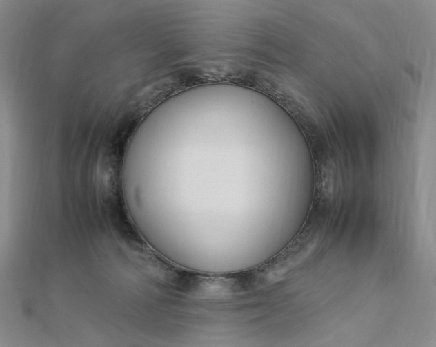 X0000112750226200909031533