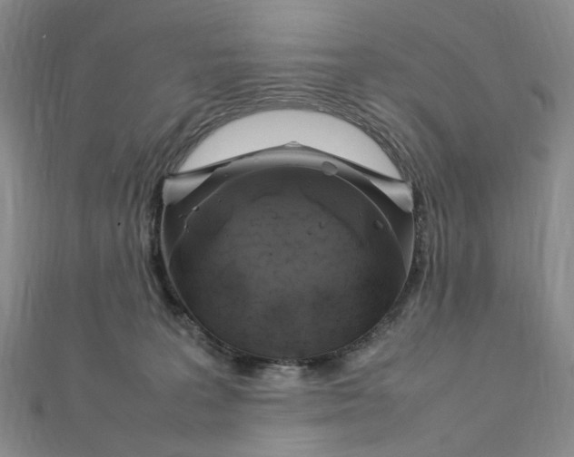 X0000112750227200909031533