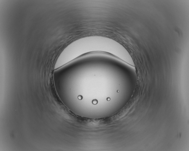 X0000112750235200909031533