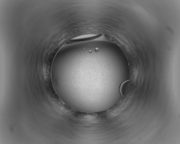 X0000112750236200909031533