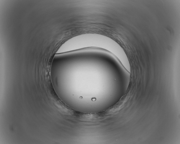 X0000112750237200909031533