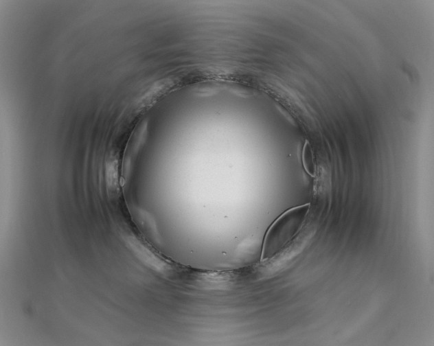 X0000112750238200909031533